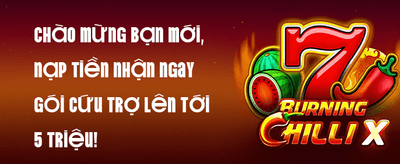 Ví Điện Tử 2