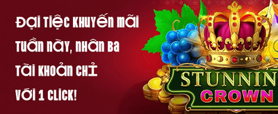 Ví Điện Tử 1